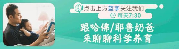 融智和 《胡桃夹子》第二集之《淘气的弗里兹》