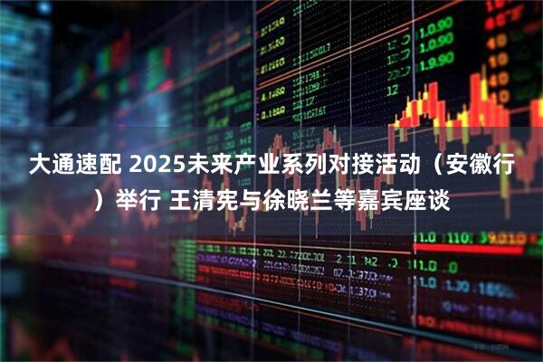 大通速配 2025未来产业系列对接活动（安徽行）举行 王清宪与徐晓兰等嘉宾座谈