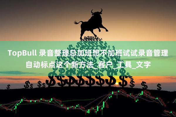 TopBull 录音整理总加班想不加班试试录音管理自动标点这个新方法_客户_工具_文字