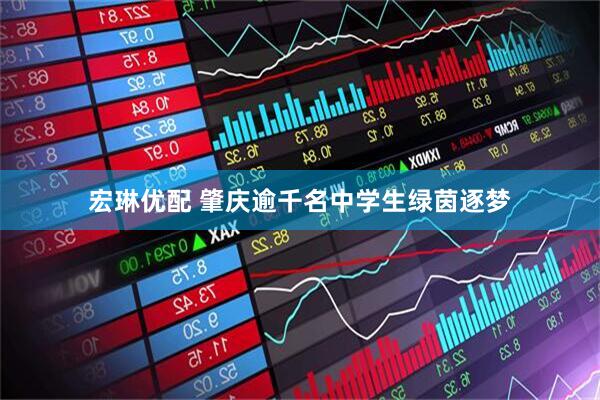 宏琳优配 肇庆逾千名中学生绿茵逐梦