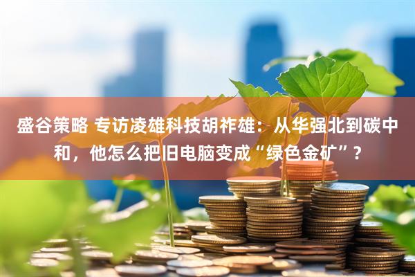 盛谷策略 专访凌雄科技胡祚雄：从华强北到碳中和，他怎么把旧电脑变成“绿色金矿”？