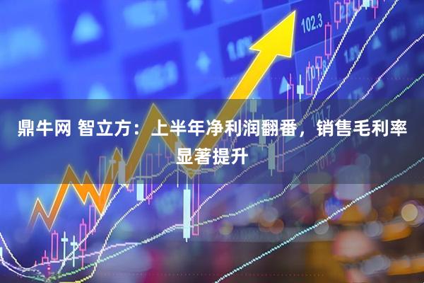 鼎牛网 智立方：上半年净利润翻番，销售毛利率显著提升