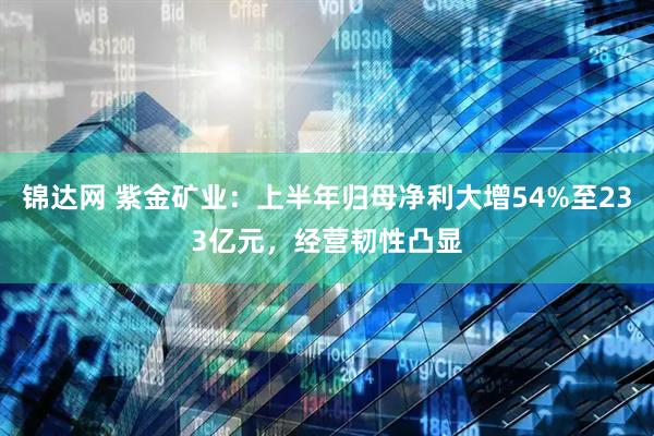锦达网 紫金矿业：上半年归母净利大增54%至233亿元，经营韧性凸显