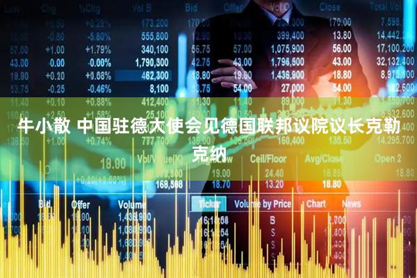 牛小散 中国驻德大使会见德国联邦议院议长克勒克纳