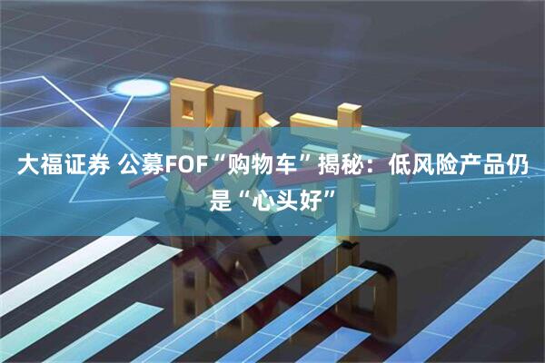 大福证券 公募FOF“购物车”揭秘：低风险产品仍是“心头好”